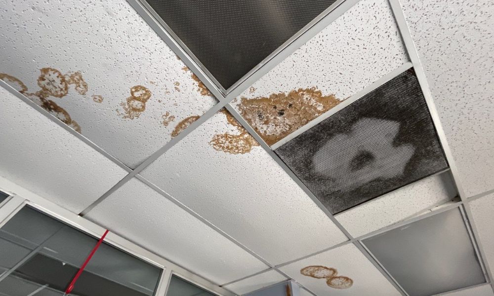 5 Things To Do When Your Commercial Roof Leaks
