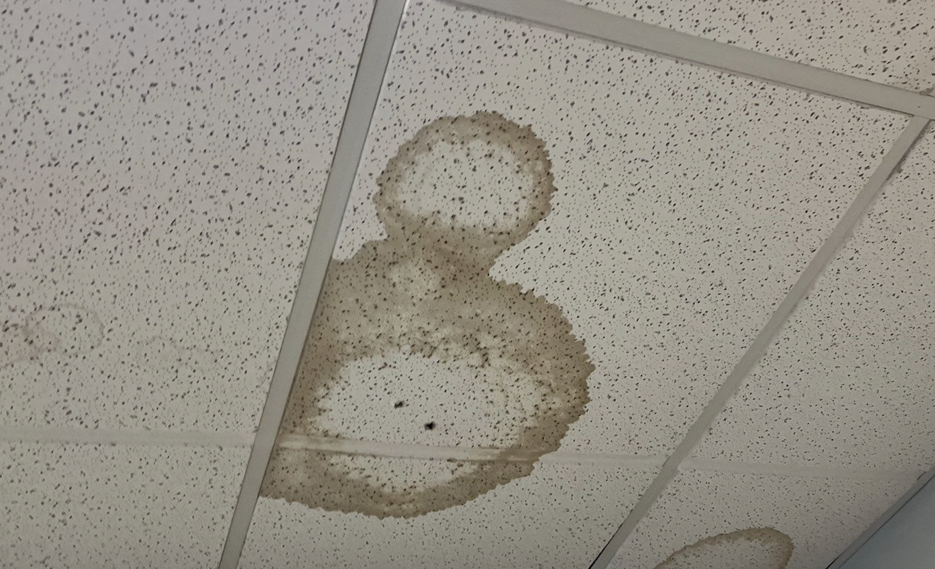 Why Does My Commercial Building Have Brown Spots on the Ceiling?