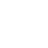 Roof Restoration Services Icon