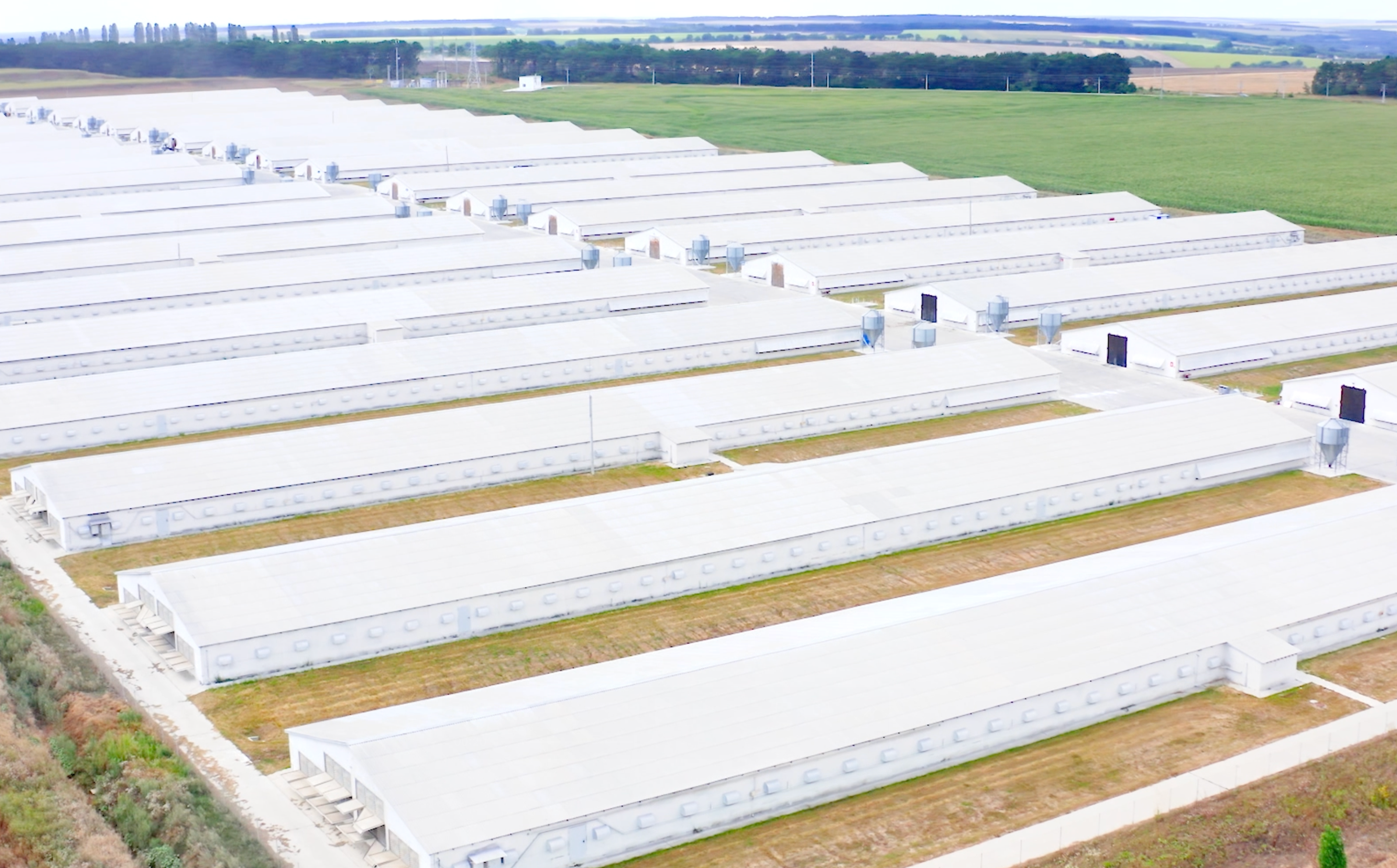 https://www.armourroofco.com/wp-content/uploads/2025/03/Roof-coatings-v2.png