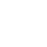 https://www.armourroofco.com/wp-content/uploads/2025/03/Roofing-Options-Icons-160x160.png